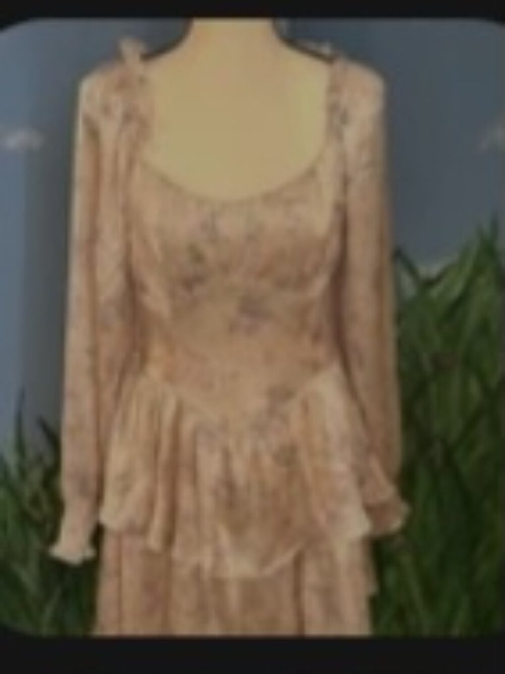 Francesca's Cottagecore Dress